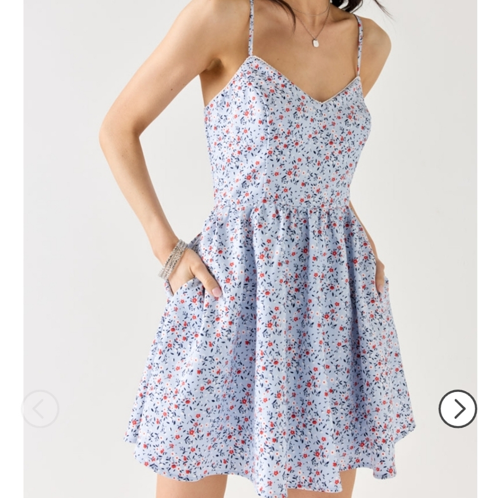 Francesca's Collections Blue and Red Floral Mini Dress